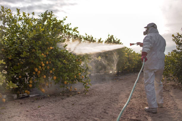 Best Exterminator Services  in Jenkins, KY
